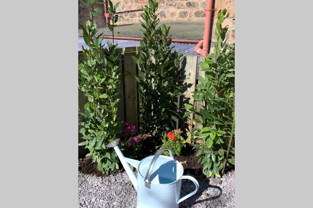 The Nook - A Stylish Apartment With Garden, Near The Beach Berwick Upon Tweed Exteriör bild